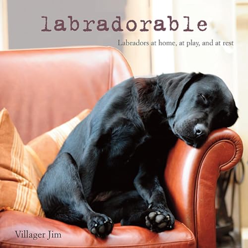 Labradorable: Labradors at home, at large, and at play