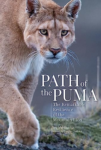 Path of the Puma: The Remarkable Resilience of the Mountain Lion