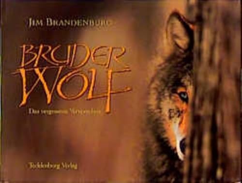 Bruder Wolf: Das vergessene Versprechen