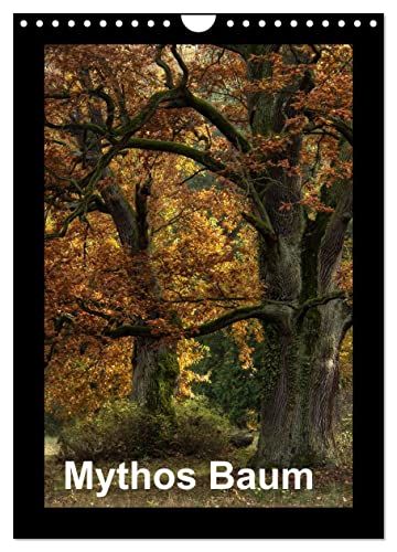 Mythos Baum / 2024 (Wandkalender 2024 DIN A4 hoch), CALVENDO Monatskalender von CALVENDO
