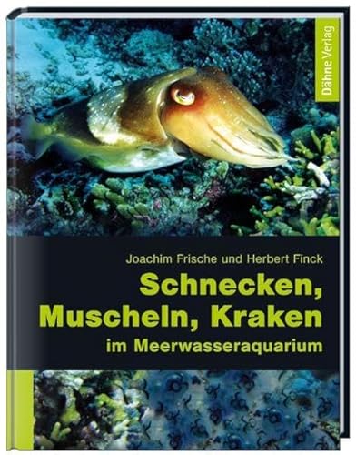 Schnecken, Muscheln, Kraken im Meerwasseraquarium