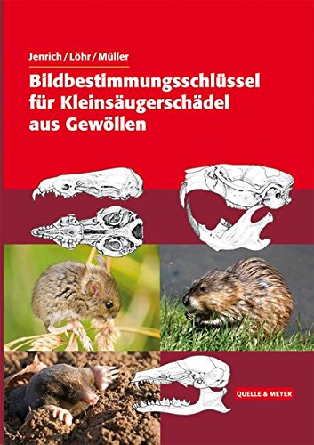 Bildbestimmungsschlüssel für Kleinsäugerschädel aus Gewöllen von Quelle & Meyer