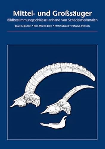 Mittel- und Großsäuger: Bildbestimmungsschlüssel anhand von Schädelmerkmalen (Beiträge zur Naturkunde in Osthessen) von Imhof Verlag