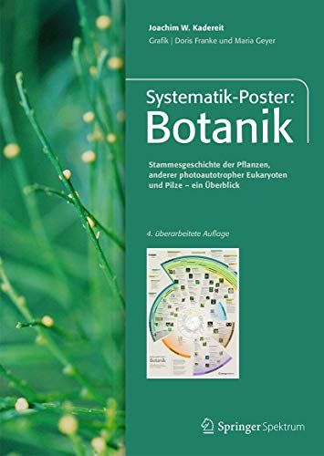 Systematik-Poster: Botanik: Stammesgeschichte der Pflanzen, anderer photoautothroper Eukrayoten und Pilze - ein Überblick von Springer Spektrum