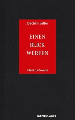 Einen Blick werfen: Literaturnovelle