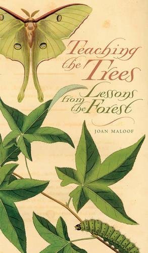 Teaching the Trees: Lessons from the Forest Teaching the Trees: Lessons from the Forest von University of Georgia Press