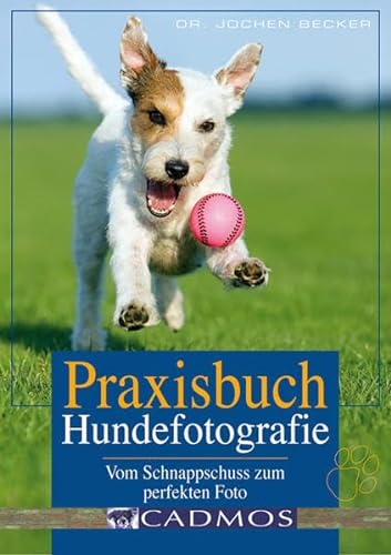 Praxisbuch Hundefotografie: Vom Schnappschuss zum perfekten Foto (Cadmos Hundebuch)