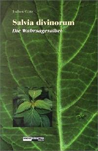 Salvia Divinorum: Die Wahrsagesalbei von Nachtschatten Verlag Ag