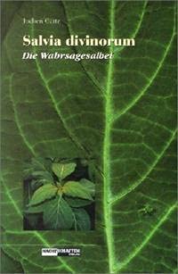 Salvia Divinorum: Die Wahrsagesalbei