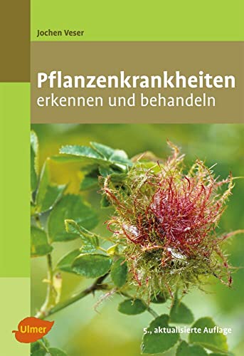 Pflanzenkrankheiten: Erkennen und behandeln