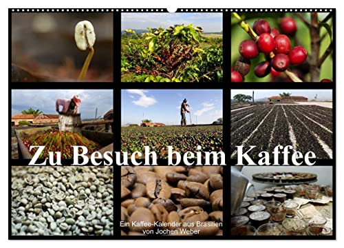 Zu Besuch beim Kaffee (Wandkalender 2025 DIN A2 quer), CALVENDO Monatskalender von CALVENDO