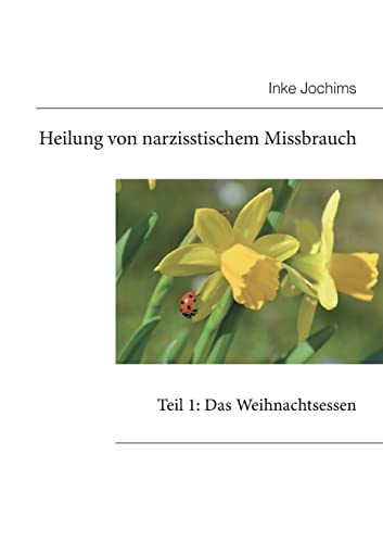 Heilung von narzisstischem Missbrauch: Teil 1: Das Weihnachtsessen von BoD – Books on Demand