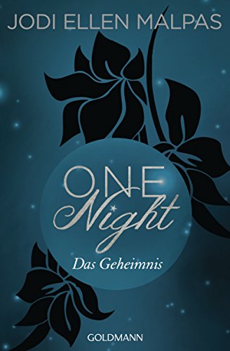 One Night - Das Geheimnis: Erotischer Roman (Die One Night-Saga, Band 2)