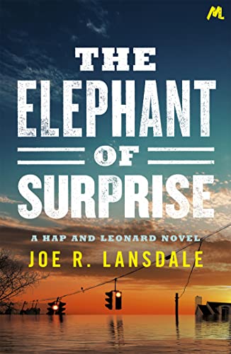 The Elephant of Surprise von Mulholland Books