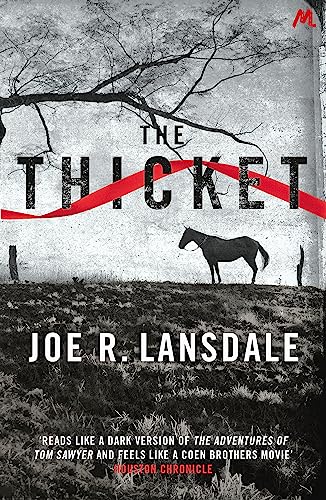 The Thicket von Hodder & Stoughton