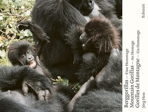Berggorillas. Gorilles de montagne. Mountain Gorillas: Eine Hommage. An Homage. Un Hommage von Echtzeit Verlag