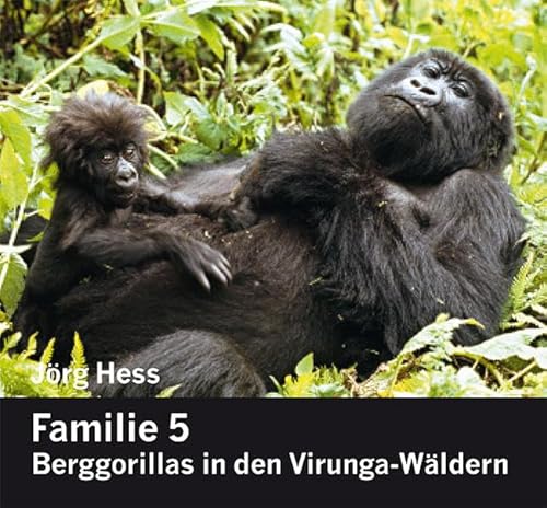 Familie 5, Berggorillas in den Virunga-Wäldern