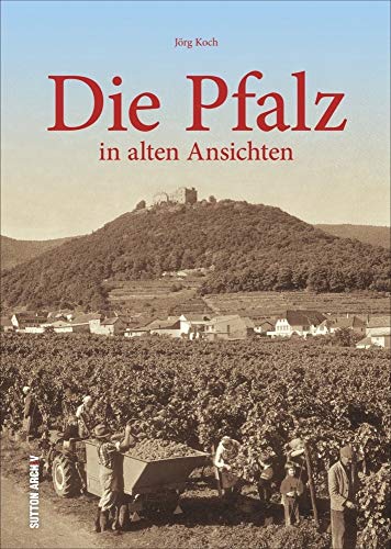 Die Pfalz: in alten Ansichten (Sutton Archivbilder) von Sutton Verlag GmbH