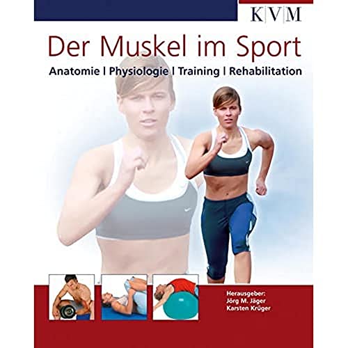 Der Muskel im Sport: Anatomie, Physiologie, Training, Rehabilitation von KVM-Der Medizinverlag