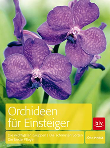 Orchideen für Einsteiger: Die wichtigsten Gruppen · Die schönsten Sorten · Die beste Pflege (BLV Pflanzenpraxis)