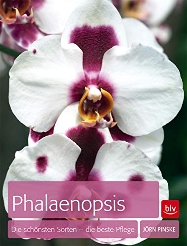 Phalaenopsis: Die schönsten Sorten - die beste Pflege von Gräfe und Unzer