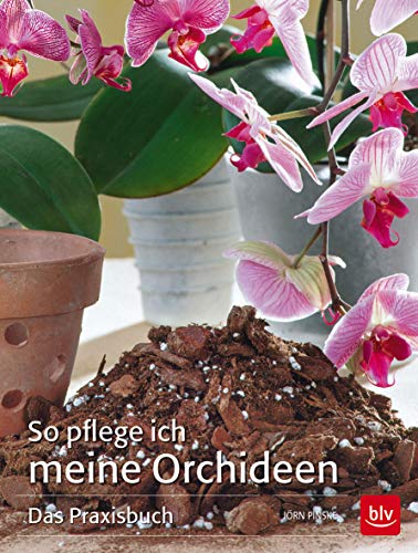 So pflege ich meine Orchideen: Das Praxisbuch (BLV Pflanzenpraxis)