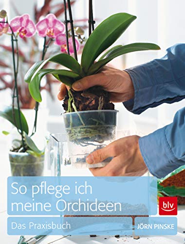 So pflege ich meine Orchideen: Das Praxisbuch (BLV Pflanzenpraxis)