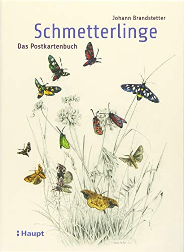 Schmetterlinge - Das Postkartenbuch von Haupt Verlag AG