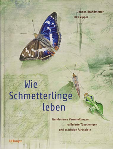 Wie Schmetterlinge leben: Wundersame Verwandlungen, raffinierte Täuschungen und prächtige Farbspiele