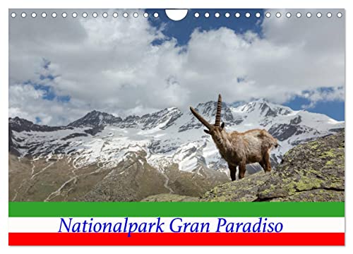 Nationalpark Gran Paradiso (Wandkalender 2024 DIN A4 quer), CALVENDO Monatskalender von CALVENDO
