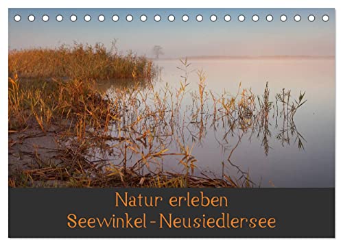 Natur erleben Seewinkel-Neusiedlersee (Tischkalender 2024 DIN A5 quer), CALVENDO Monatskalender von CALVENDO