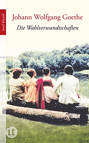 Die Wahlverwandtschaften: Ein Roman (insel taschenbuch)