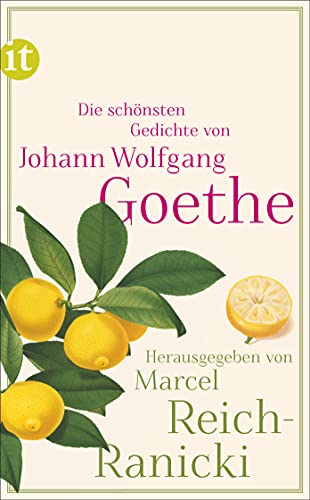 Die schönsten Gedichte: Originalausgabe (insel taschenbuch)