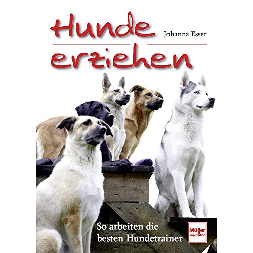 Hunde erziehen: So arbeiten die besten Hundetrainer