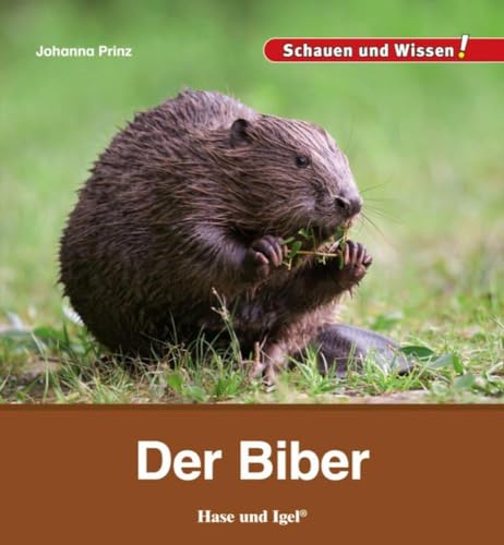 Der Biber: Schauen und Wissen! von Hase und Igel Verlag GmbH