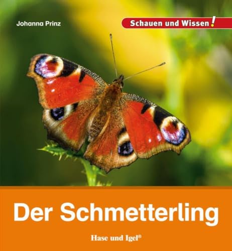 Der Schmetterling: Schauen und Wissen!