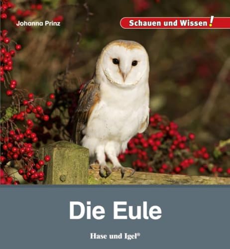 Die Eule: Schauen und Wissen! von Hase und Igel Verlag GmbH