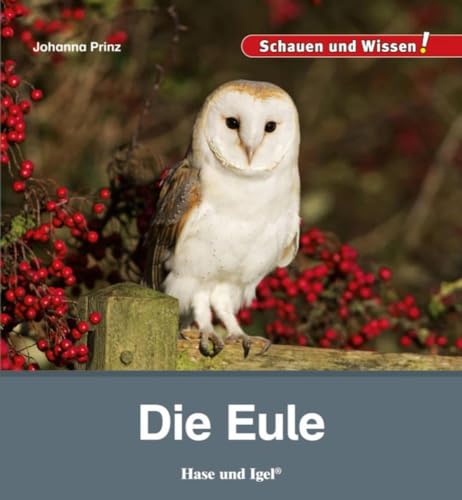 Die Eule: Schauen und Wissen! Die Eule: Schauen und Wissen! von Hase und Igel Verlag GmbH
