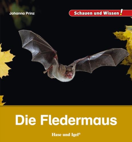 Die Fledermaus: Schauen und Wissen!