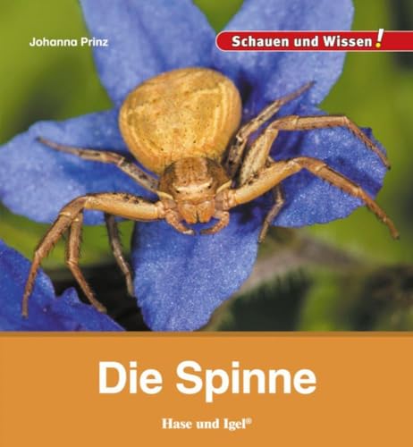 Die Spinne: Schauen und Wissen!