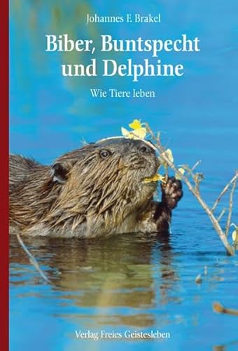 Biber, Buntspecht und Delphine: Wie Tiere leben