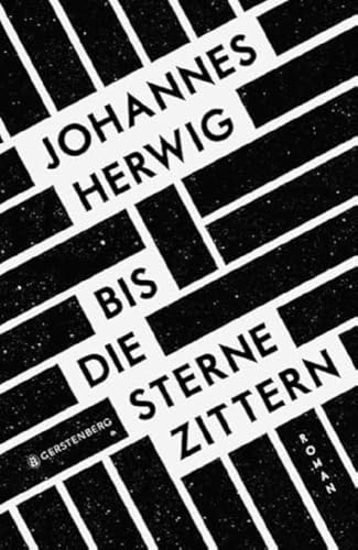 Bis die Sterne zittern: Roman. Ausgezeichnet mit dem Korbinian - Paul-Maar-Preis für junge Talente 2017