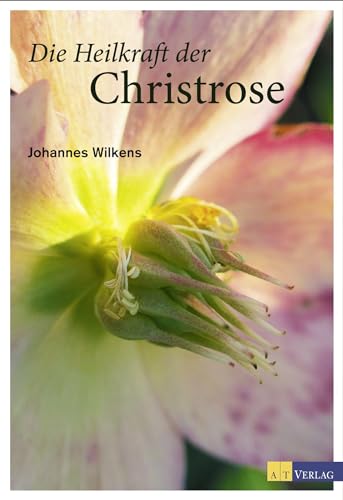 Die Heilkraft der Christrose