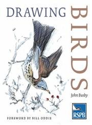 Drawing Birds (RSPB) von Bloomsbury Specialist