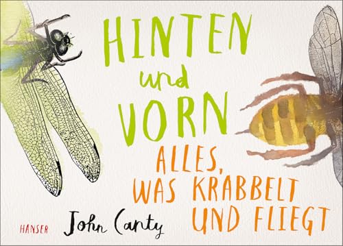 Hinten und vorn - Alles, was krabbelt und fliegt von Hanser, Carl GmbH + Co.