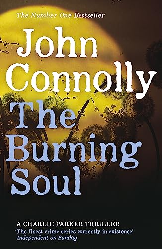 The Burning Soul: Private Investigator Charlie Parker hunts evil in the tenth book in the globally bestselling series (Charlie Parker Thriller)