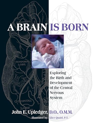 A Brain Is Born: Exploring the Birth and Development of the Central Nervous System