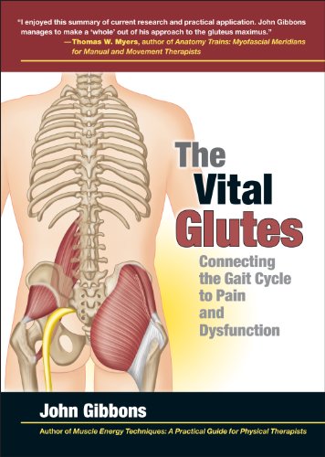 The Vital Glutes: Connecting the Gait Cycle to Pain and Dysfunction von Lotus Publishing