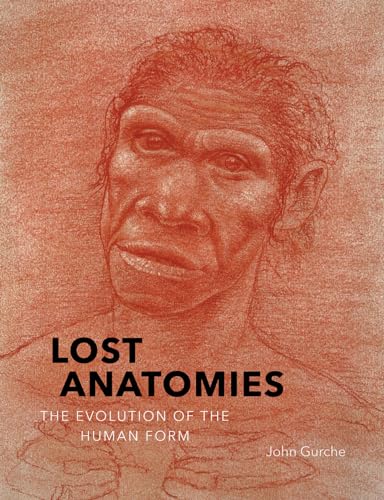 Lost Anatomies: The Evolution of the Human Form