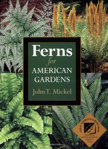 Ferns for American Gardens von Timber Pr Inc